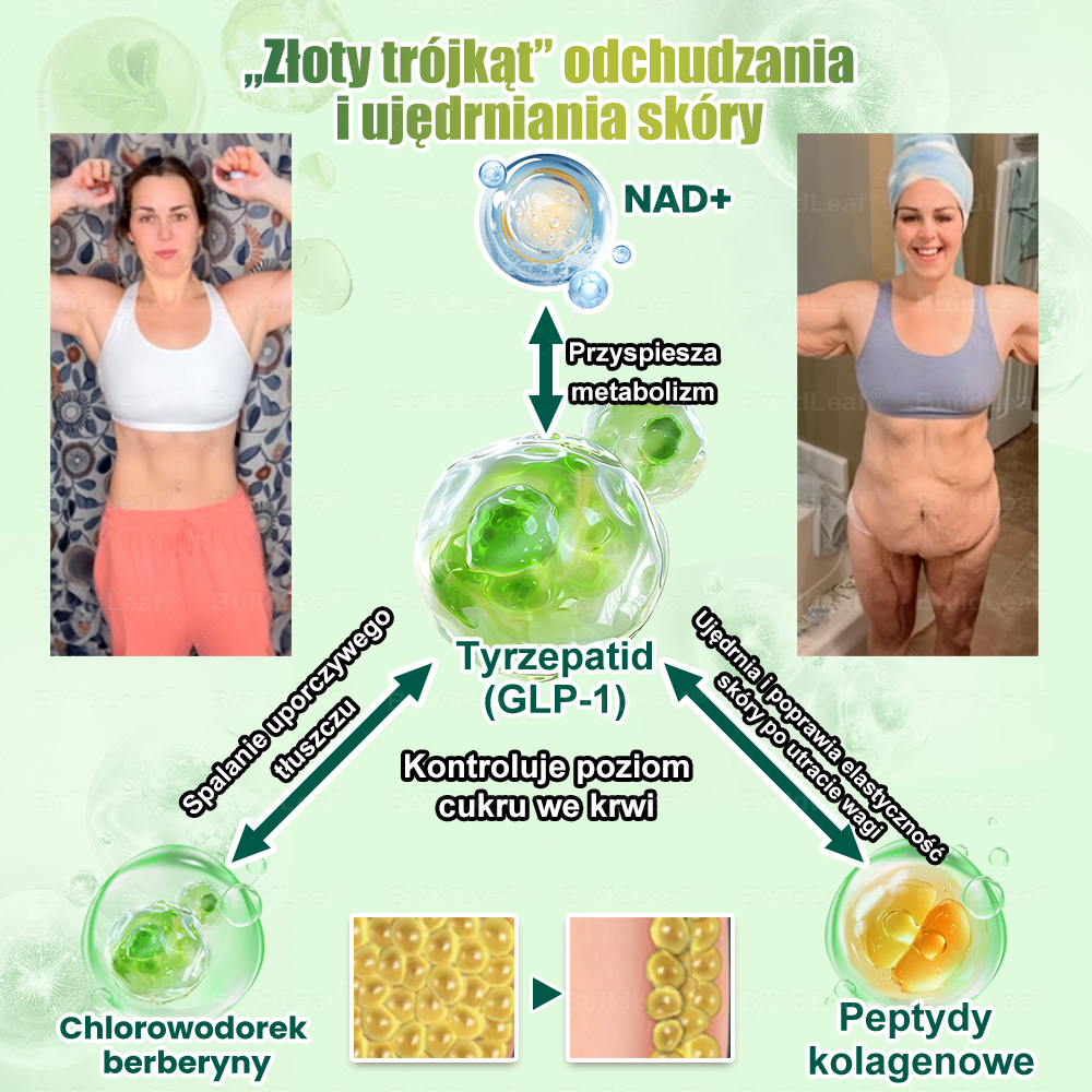 🌻BuildLeaf®Tylko 10 opakowań! Skorzystaj z wyjątkowej 30% zniżki już teraz! Nie przegap swojej szansy—taka oferta nie pojawi się ponownie aż do przyszłego roku. Działaj szybko! 180-dniowa gwarancja zwrotu pieniędzy